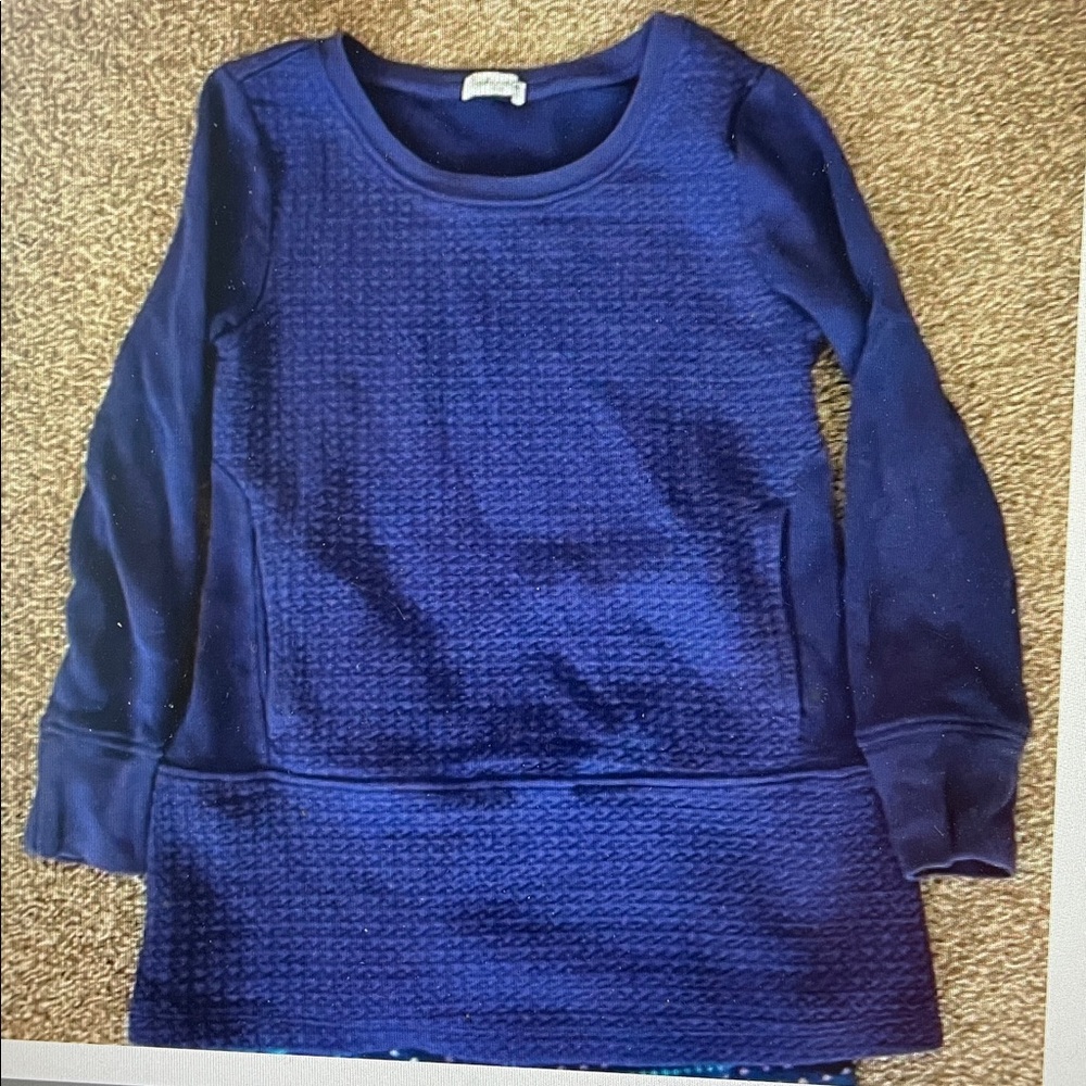 Splendid Long sleeve purple pullover top 5/6
